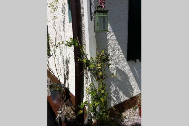 Haus Tulpe Strobl Exterior foto